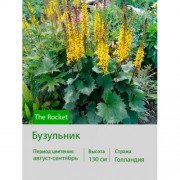 Бузульник The Rocket