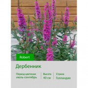 Дербенник Robert