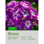 Флокс Adlinda®