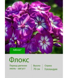 Флокс Adlinda®