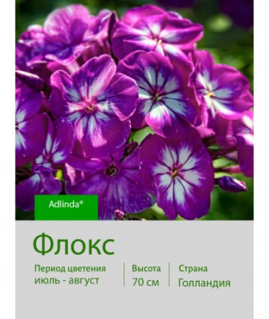 Флокс Adlinda®
