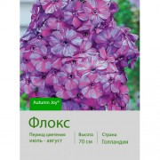 Флокс Autumn Joy®