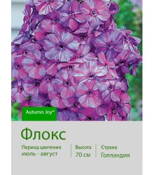 Флокс Autumn Joy®