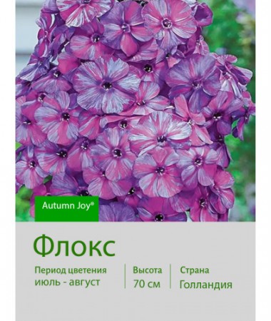 Флокс Autumn Joy®
