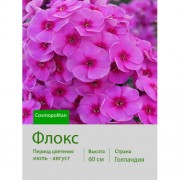 Флокс Cosmopolitan®