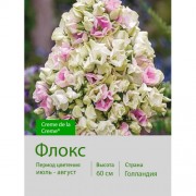Флокс Creme de la Creme®