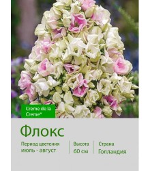 Флокс Creme de la Creme®