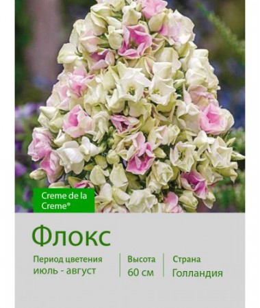 Флокс Creme de la Creme®