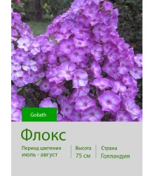 Флокс Goliath