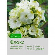 Флокс Green Expectation®