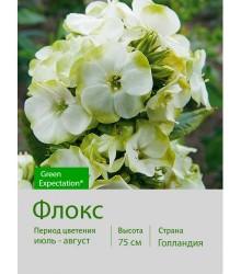Флокс Green Expectation®