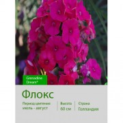 Флокс Grenadine Dream®