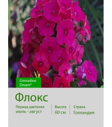 Флокс Grenadine Dream®