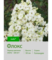 Флокс Jade®