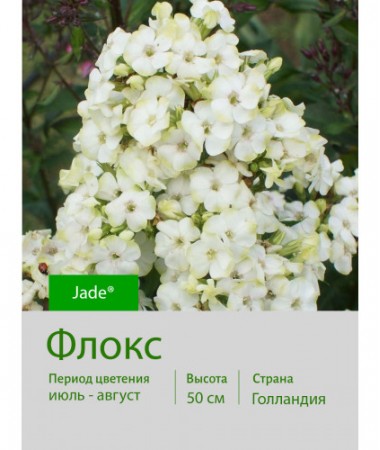 Флокс Jade®