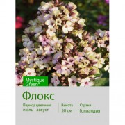 Флокс Mystique Green®