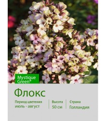 Флокс Mystique Green®
