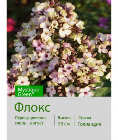 Флокс Mystique Green®