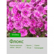 Флокс Smokey
