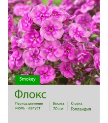 Флокс Smokey