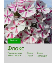 Флокс Twister
