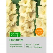 Гладиолус Dreamy Creamy