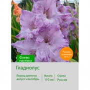 Гладиолус Флево наутика