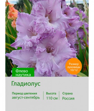 Гладиолус Флево наутика
