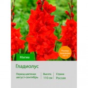 Гладиолус Магма