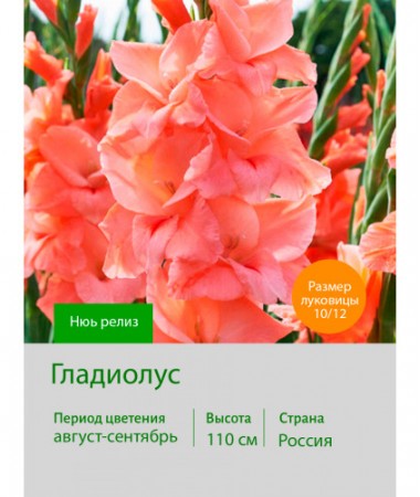 Гладиолус Нюь релиз