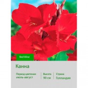 Канна Red Wine