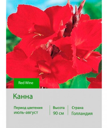 Канна Red Wine