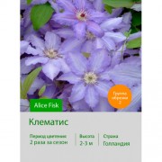 Клематис Alice Fisk