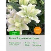 Лилия Roselily Joella