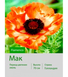 Мак Flamenco