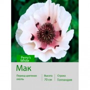 Мак Perry’s White