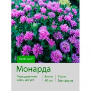 Монарда Purple Lace®