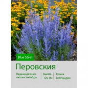 Перовския Blue Steel