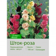 Шток-роза Chater's Mixed