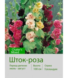 Шток-роза Chater's Mixed