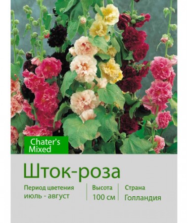 Шток-роза Chater's Mixed