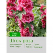 Шток-роза Fiesta Time