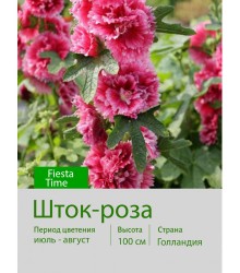 Шток-роза Fiesta Time