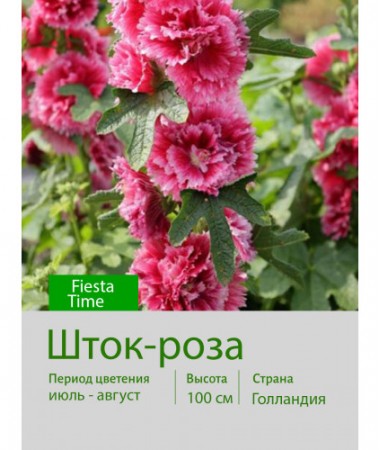 Шток-роза Fiesta Time