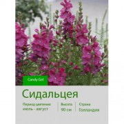 Сидальцея Candy Girl