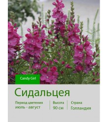 Сидальцея Candy Girl