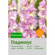 Гладиолус Vladivostok